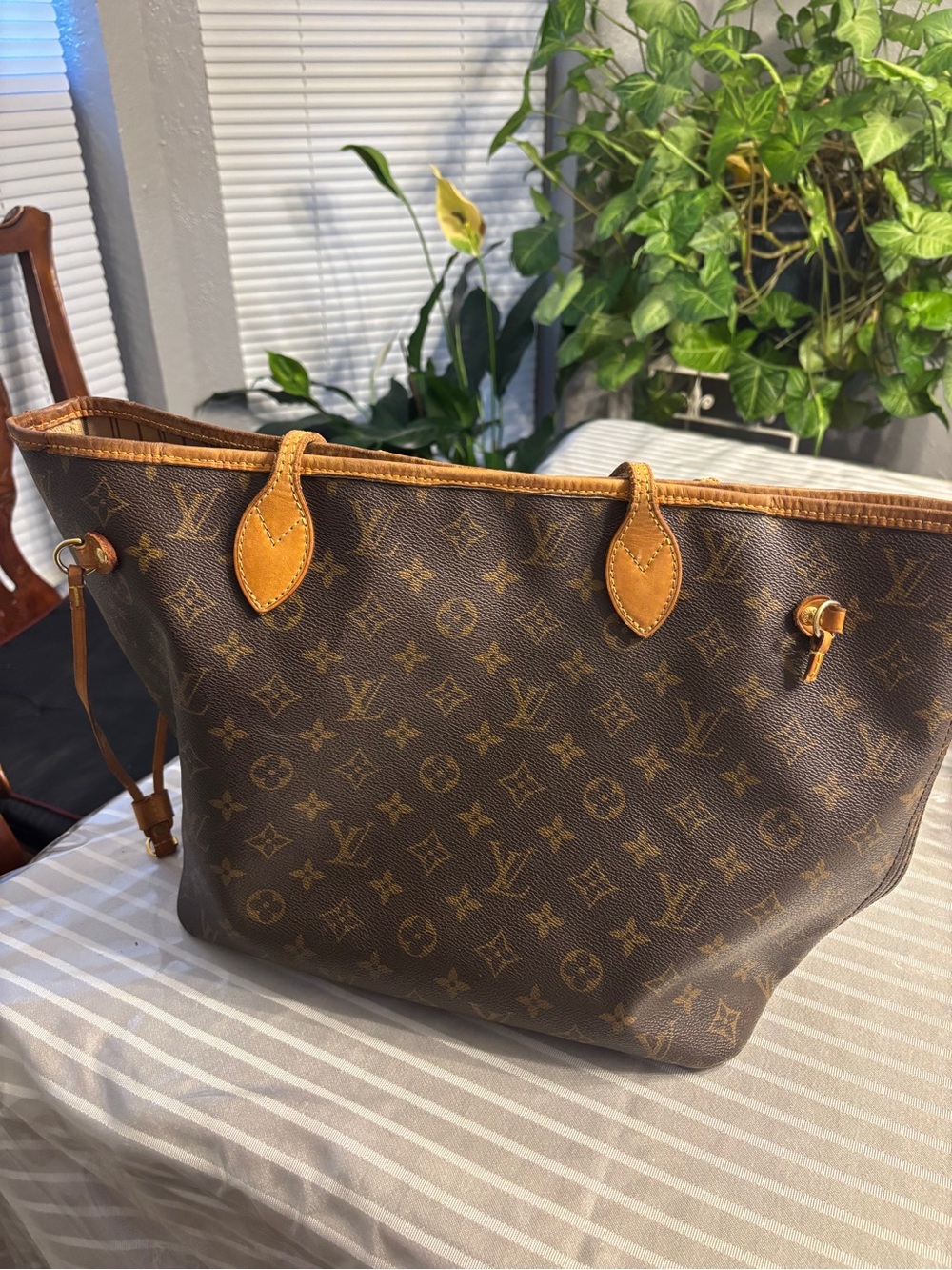 Louis Vuitton Monogram Canvas